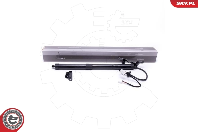 Electric Motor, tailgate